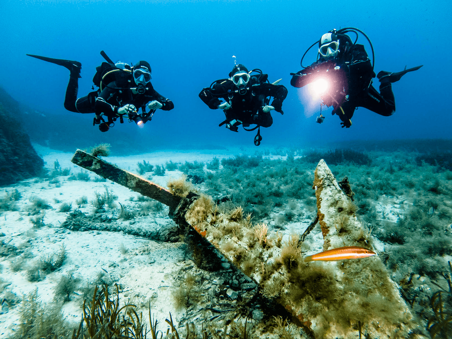 Scuba Skills Update (Refresh Dive) 1