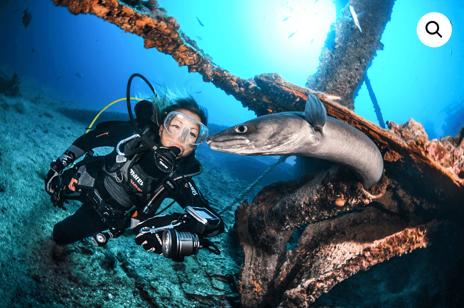 Fish Identification (SSI) 1