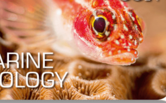 Marine Ecology (SSI) 1