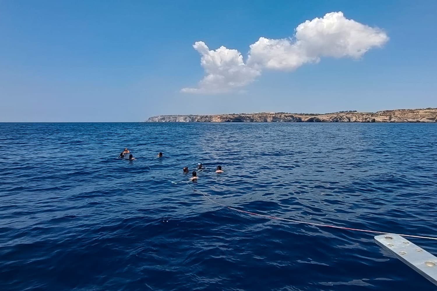 Private Marine Life Spotting Experience 3